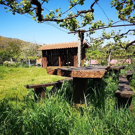 Holiday home Casa Do Pontelhao Serra D'arga Arga de Cima